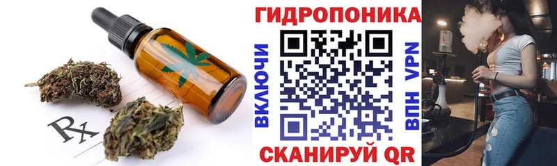 Canna-Cookies марихуана  Карачаевск 