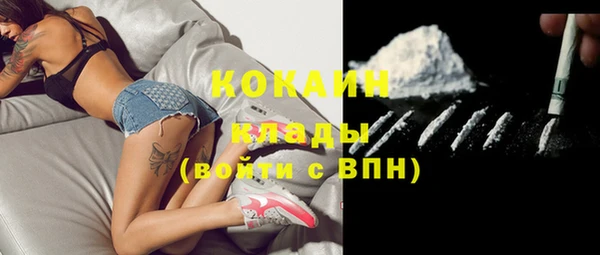 крисы Алзамай