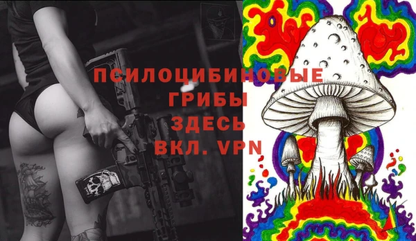 крисы Алзамай
