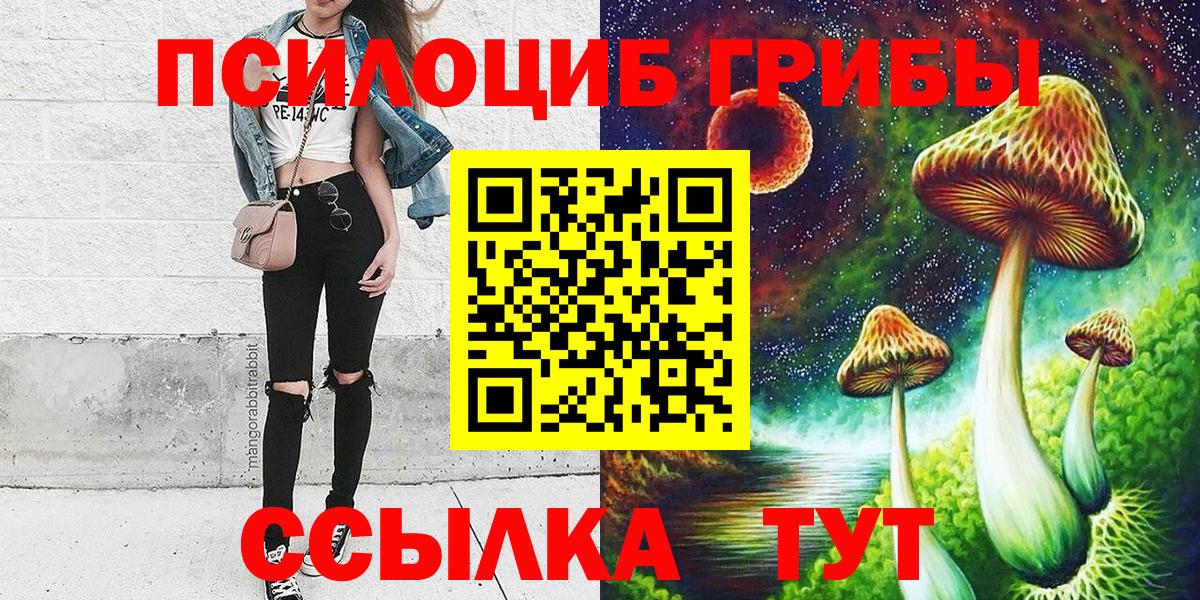 Псилоцибиновые грибы ЛСД  Вход с VPN  Карачаевск 